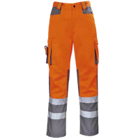 Hi-VlS Pants